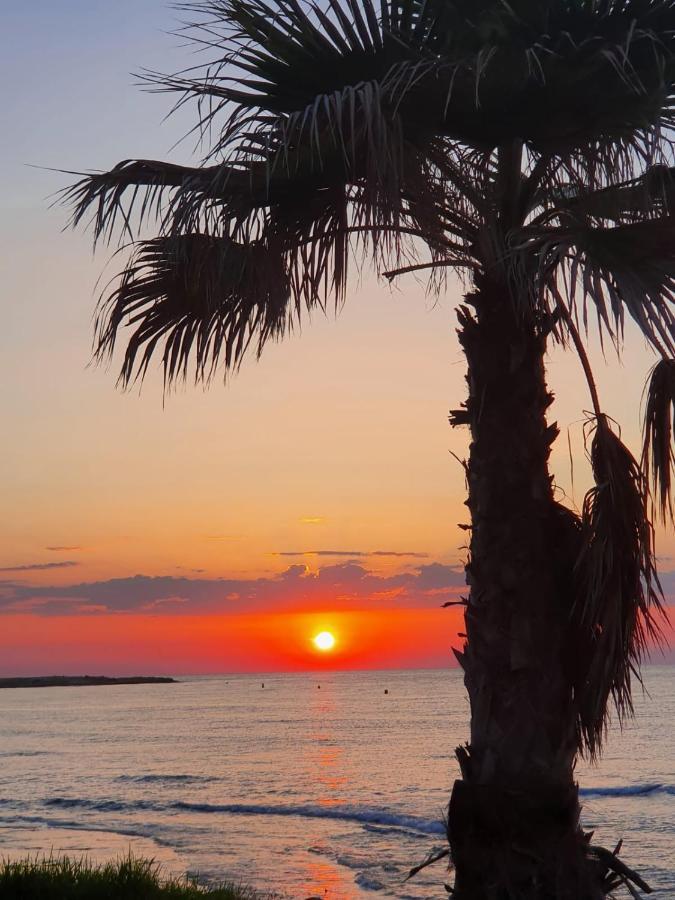 Gemuetliche Ferienwohnung In Torrevieja Ca100M Vom Strand Playa Del Cura Entfernt Esterno foto