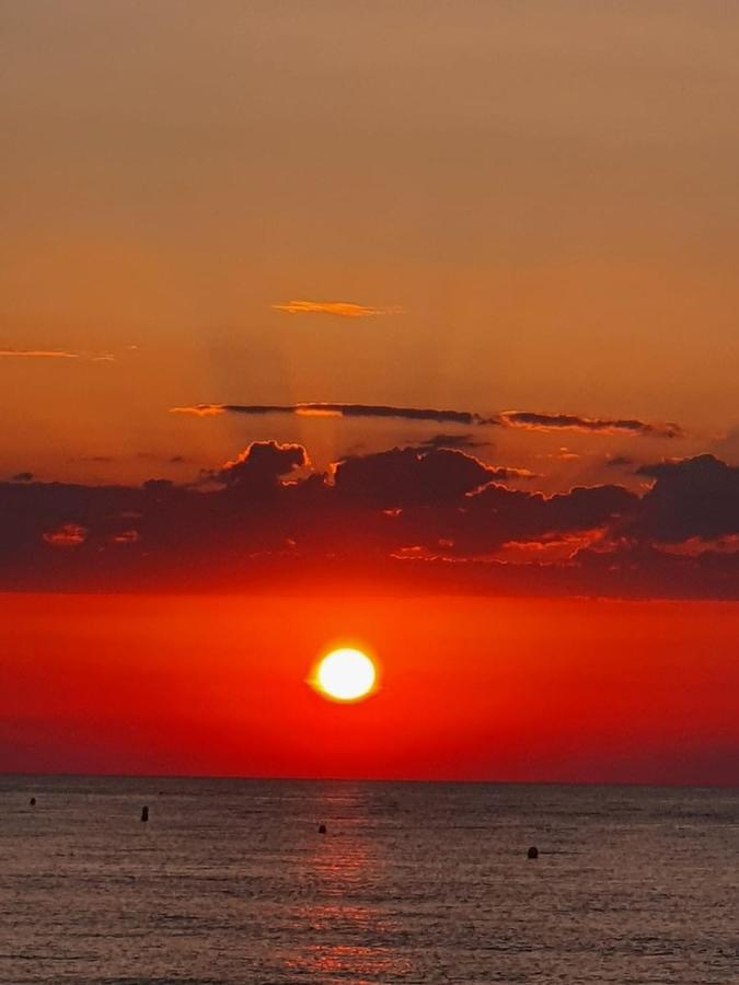 Gemuetliche Ferienwohnung In Torrevieja Ca100M Vom Strand Playa Del Cura Entfernt Esterno foto